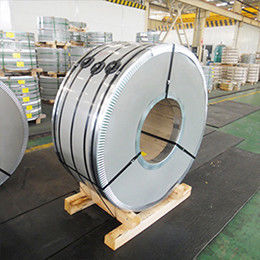 Hot Rolled NO.1 316L 304L Stainless Steel StripsS Heet Coil 201 Stainless Steel Strip